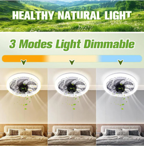 2-in-1 Mute Adjustable Fan Light with Remote Control