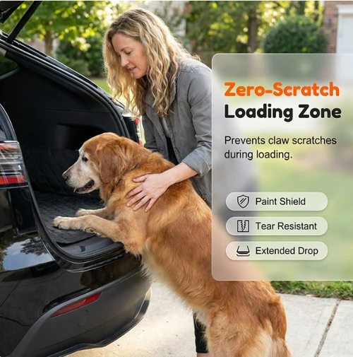 Protects trunk from dirt, spills & fur – perfect for dogs or outdoor gear 🐕