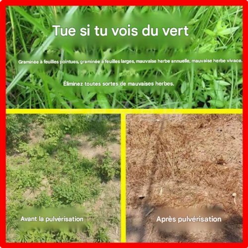 Herbicide