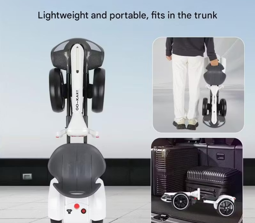 Electric Go Kart, Outdoor Racing Pedal Cart Car for Teens and Adults, Best for Christmas, Great for Thanksgiving