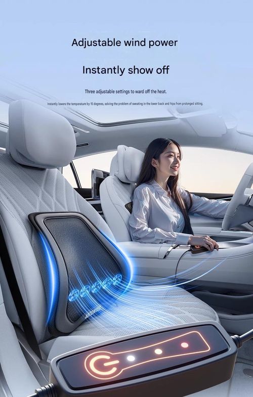 Car lumbar support, office seat lumbar support, ventilated driver's seat lumbar cushion, backrest
