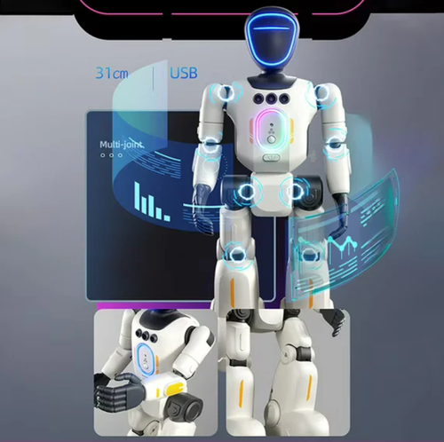 Next-Gen Humanoid AI Robot | Full-Body Flexible Joints & Smart Interactive Control🎮