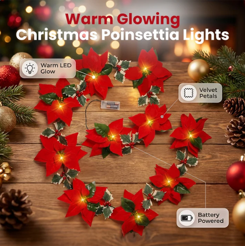 Christmas Poinsettia Flower String Lights