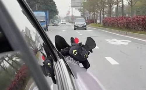 Toothless Dragon Car Roof Ornaments
