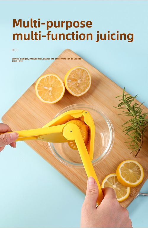 Small Portable Manual Juicer Lemon Juicer Multifunctional Fruit and Vegetable Juice Separator Picnic Manual Tool