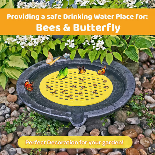 🐝 Floating Bee Station - Bee-Friendly Hydration Station