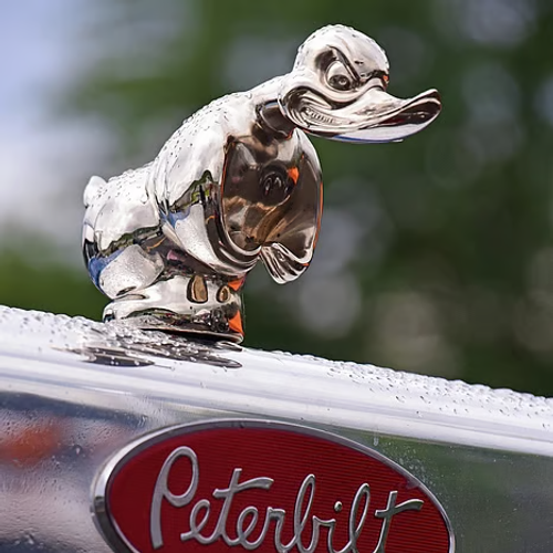 🔥 Angry  Duck Hood Ornament Death Proof