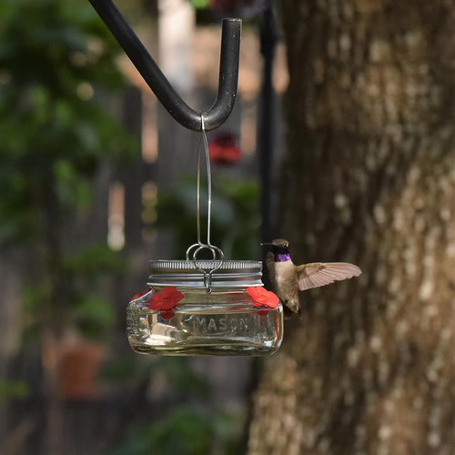 Beautiful Plastic Jar Hummingbird Feeder Four Ports