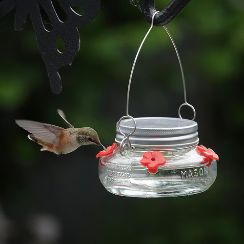 Beautiful Plastic Jar Hummingbird Feeder Four Ports