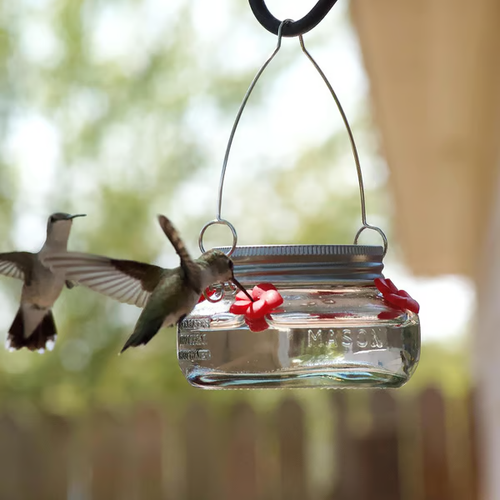 Beautiful Plastic Jar Hummingbird Feeder Four Ports