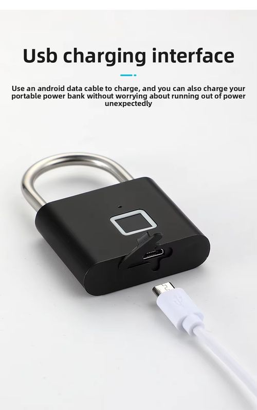 Smart Fingerprint Electronic Padlock Model SP100