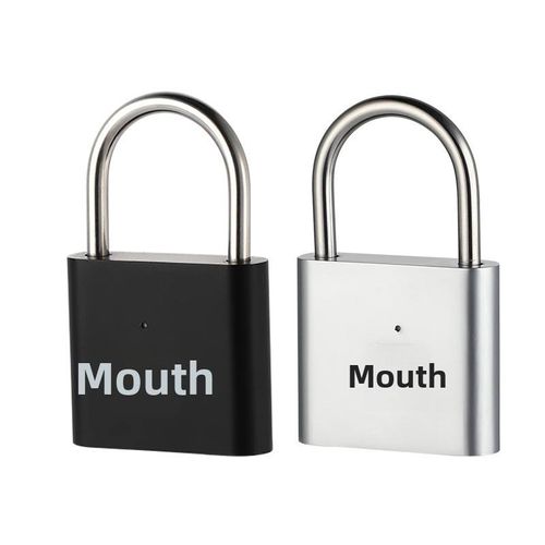 Smart Fingerprint Electronic Padlock Model SP100
