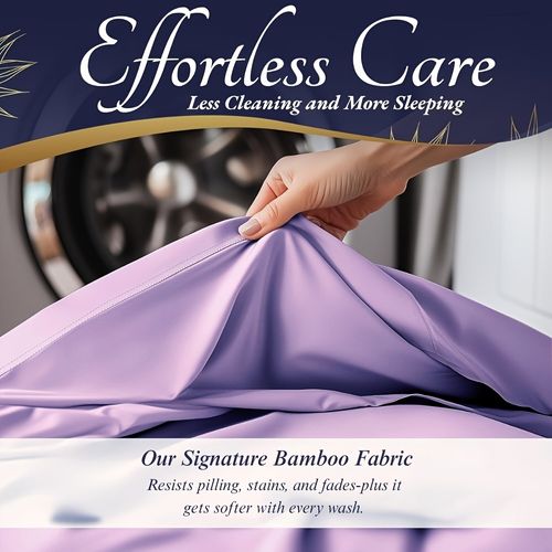 Bed Sheet