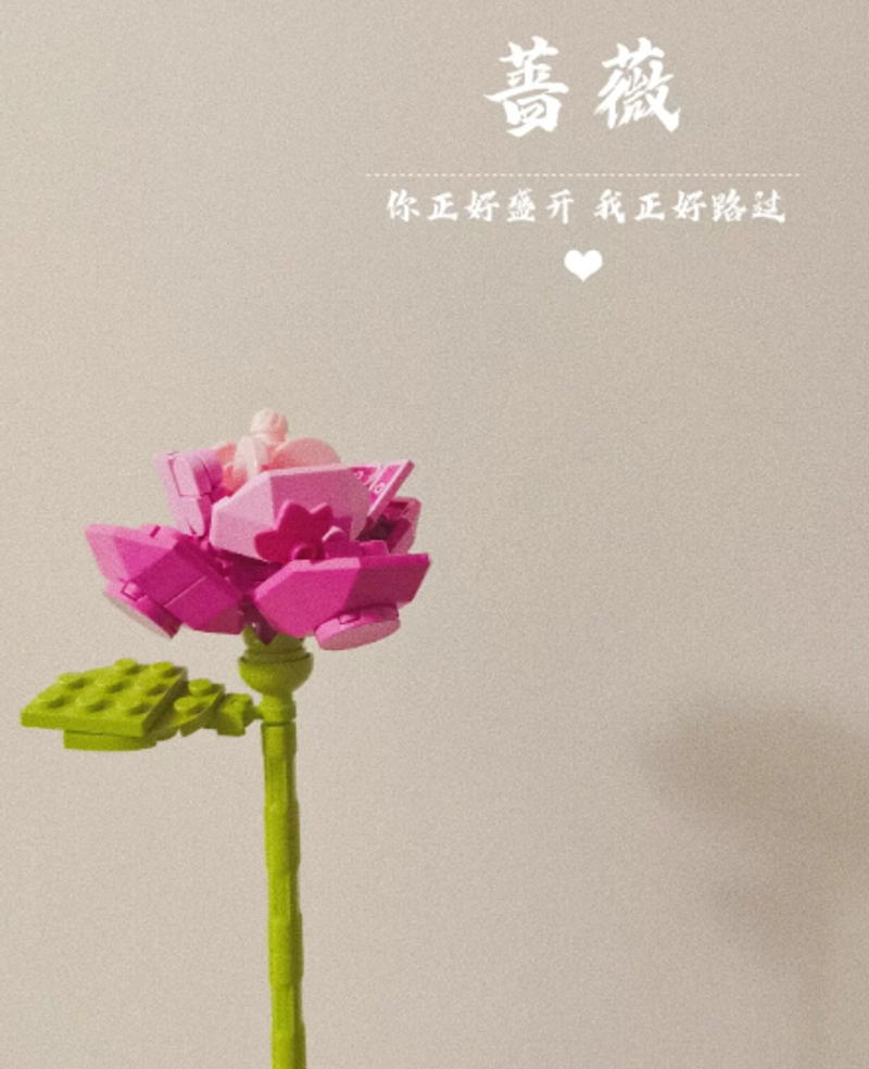 單支2頁