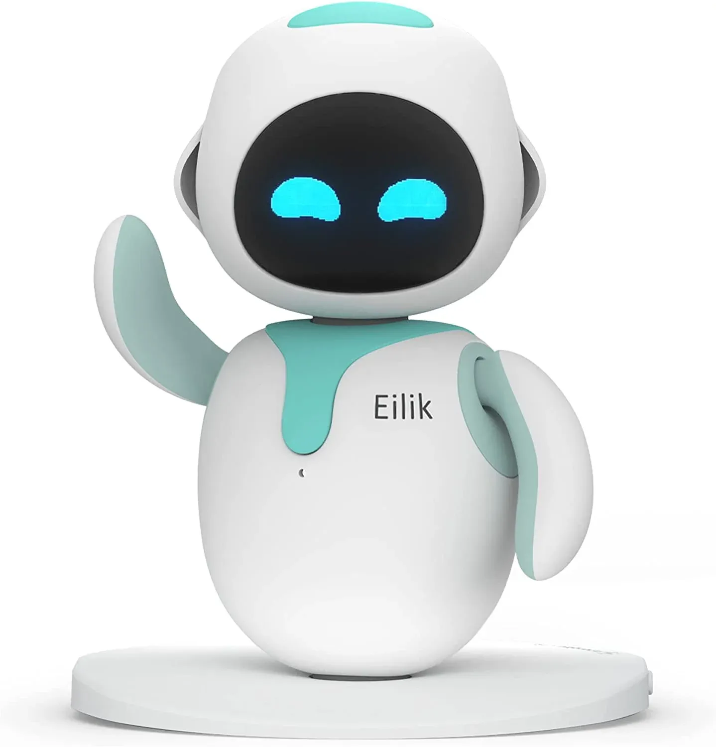 Service & Companion Robotics​