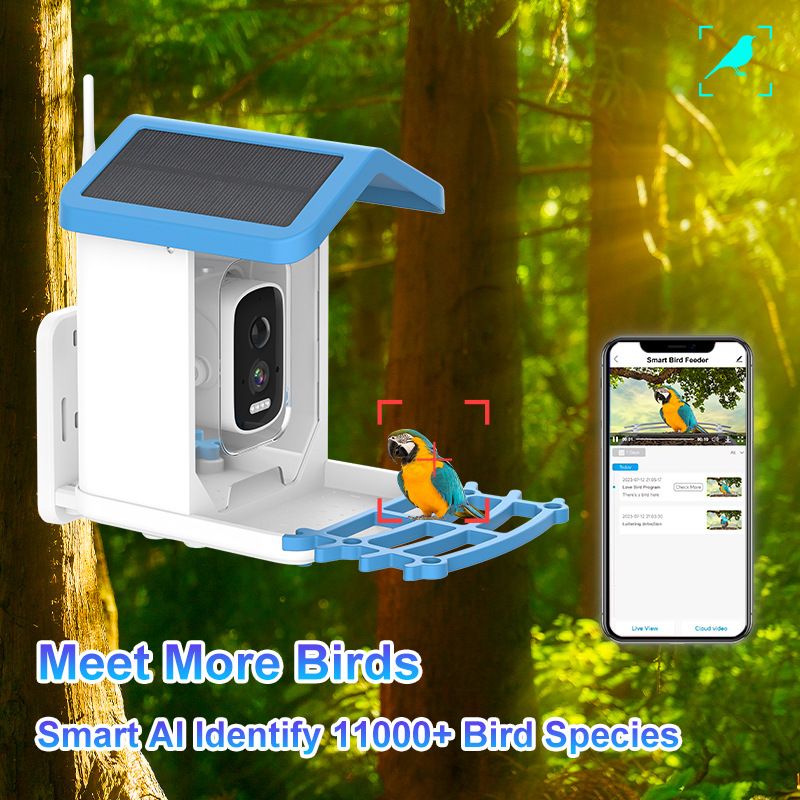Q40, smart bird feeder, AI bird identification, solar-powered, HD bird feeder🐦