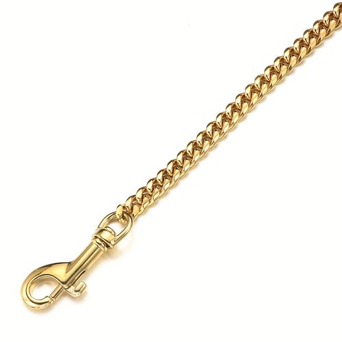 Leash