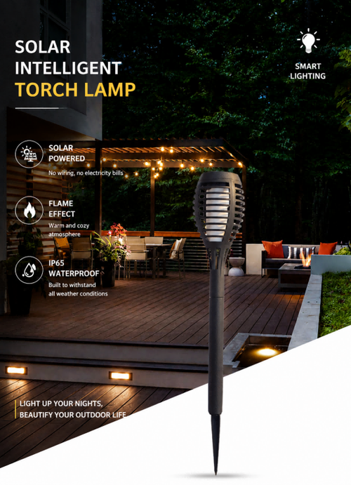 Torch Light