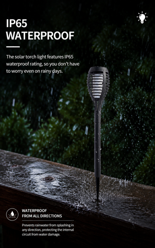 Torch Light