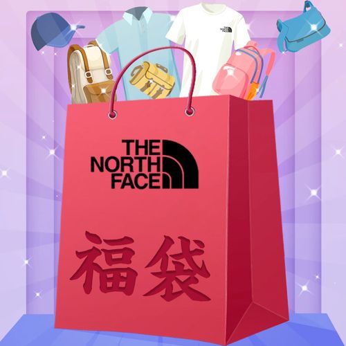 3枚セット 2枚セット  数量限定  THE NORTH FACE ザノースフェイス福袋 2025福袋 メンズ レディース Tシャツ ミニバック バッグ ショルダーバッグ タポリンバッグ