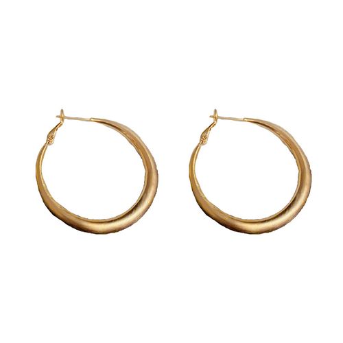 Minimalist Fashion Earrings: Versatile, Light Luxury, Cool-Toned Hoop Earrings