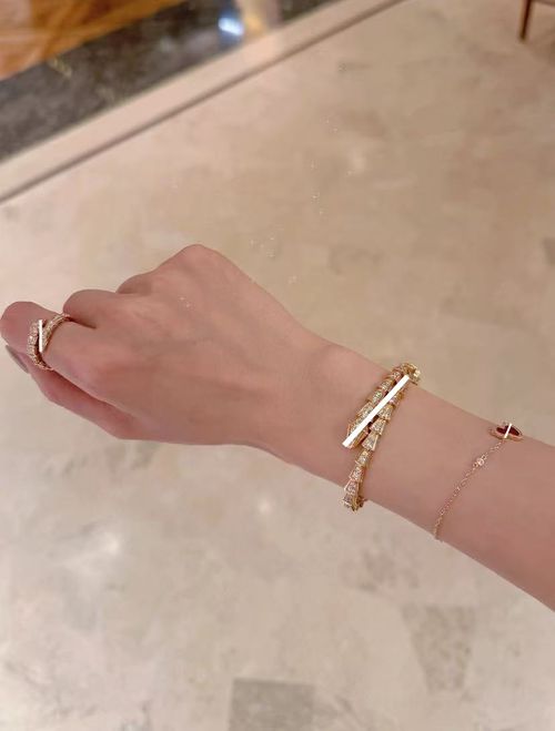 Snake-Style Bracelet Women's Luxury Fashion Jewelry High-End Rose Gold Bracelet
