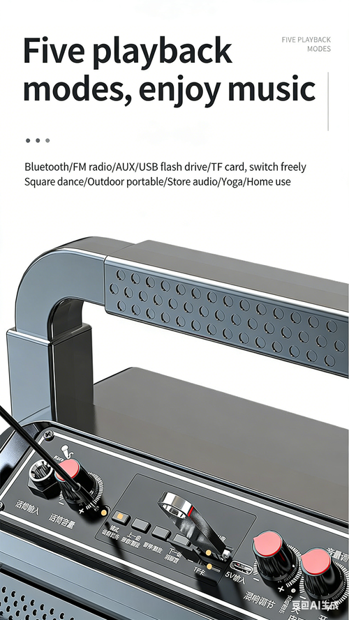 Portable Outdoor Bluetooth Speaker with High Volume for Home Karaoke, Built-in Subwoofer