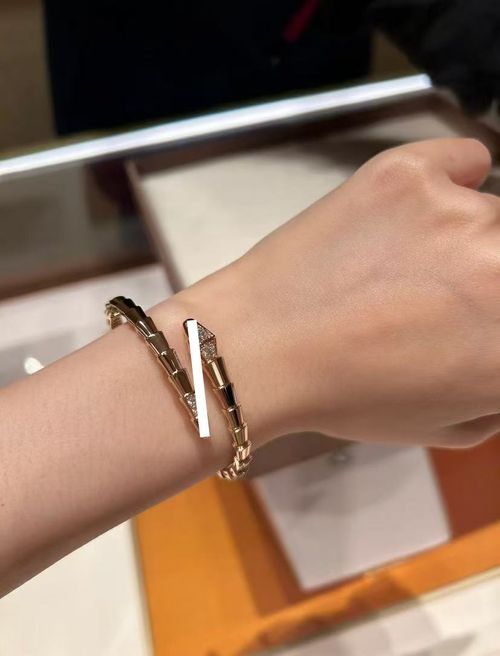 Snake-Style Bracelet Women's Luxury Fashion Jewelry High-End Rose Gold Bracelet