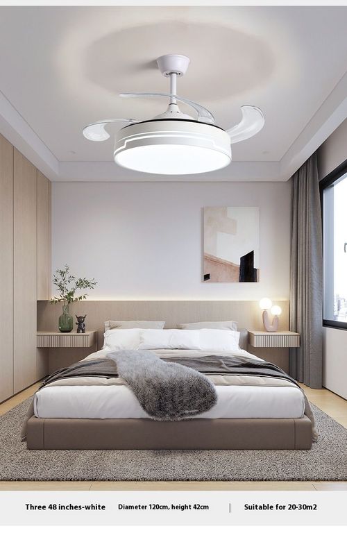 Fan Light