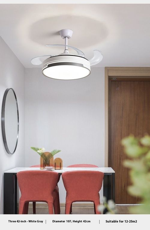 Fan Light