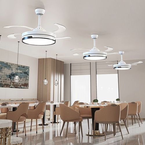 Fan Light