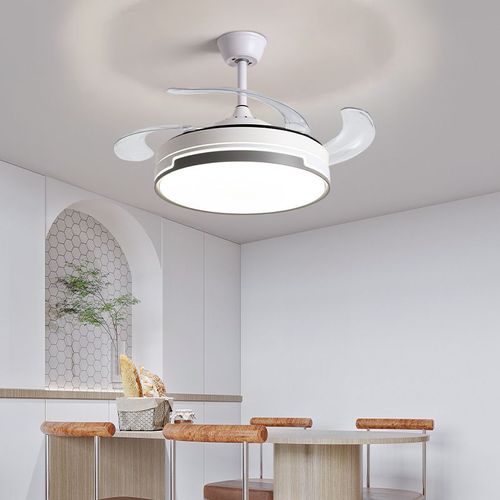 Fan Light