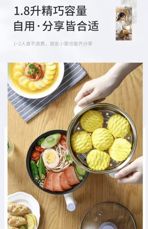 Multifunctional mini electric hot pot