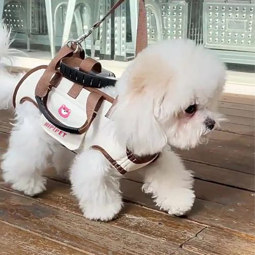Portable Pet Backpack Carrier for Walking & Hiking