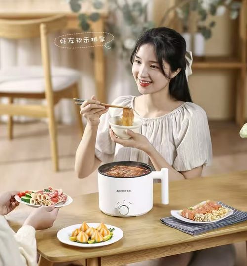 Multifunctional mini electric hot pot