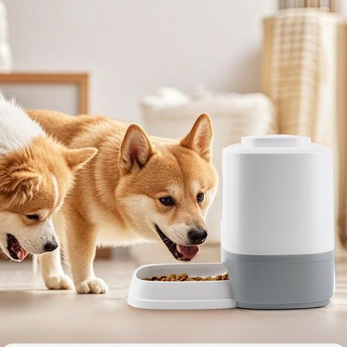 1.5L Press Operated Pet Feeder, Interactive Food Dispenser for Dogs & Cats