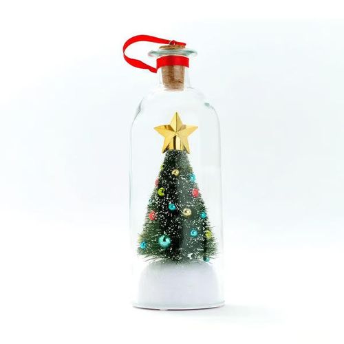 Christmas Bottle Message