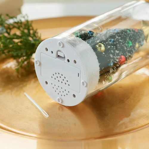 Christmas Bottle Message
