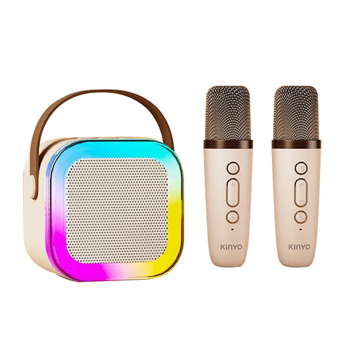 Karaoke Bluetooth speaker all-in-one