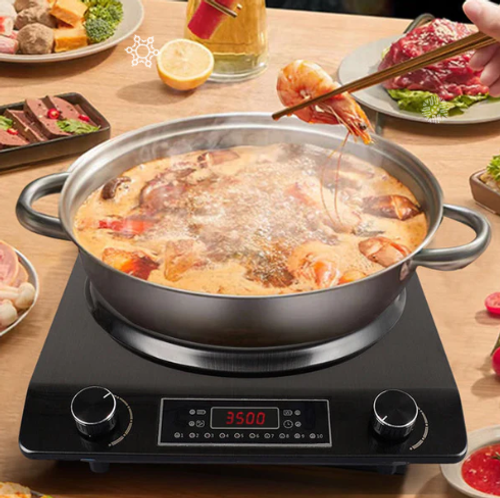 🔥Free Shipping🔥 3500W Induction Cooktop