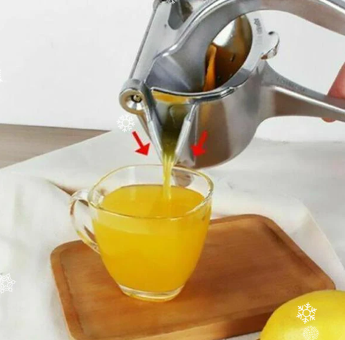 🍊Hot sale🔥Stainless steel juicer