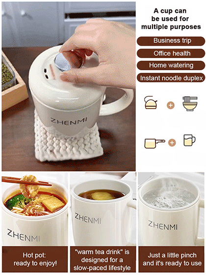 Multifunctional Small Electric Stew Cup
