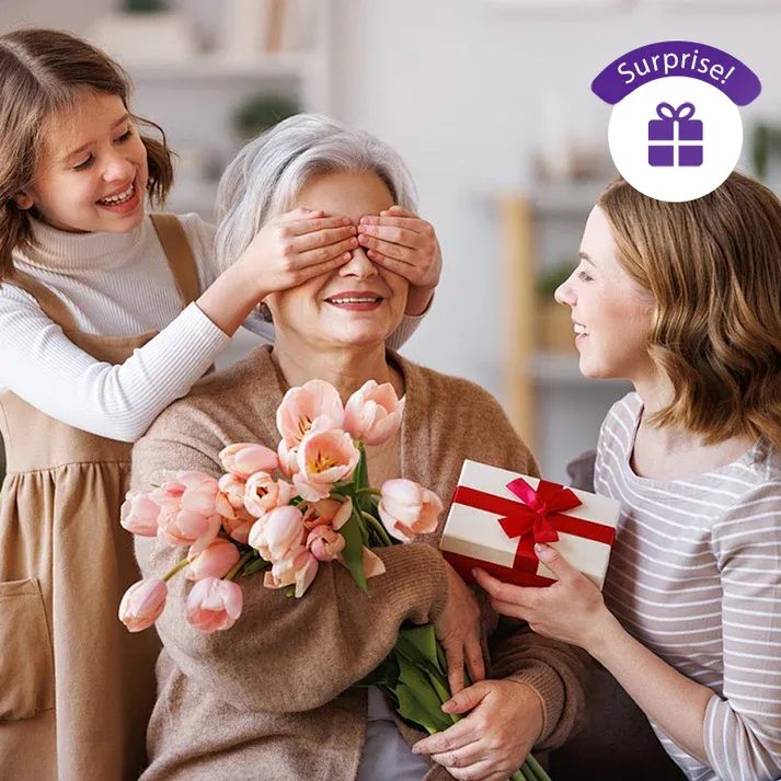 Portable Rotating Handheld Steam Iron