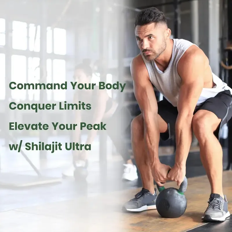 Natural High-Potency FLYNEW Shilajit Ultra I Adaptogen Energy Stamina Immune Antioxidant I Made in USA | 60 Capsules Dietary Supplement Healthcare Fitness Vitamin Edible Organic