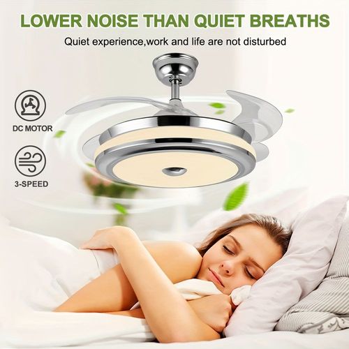 Ceiling Fan with Light