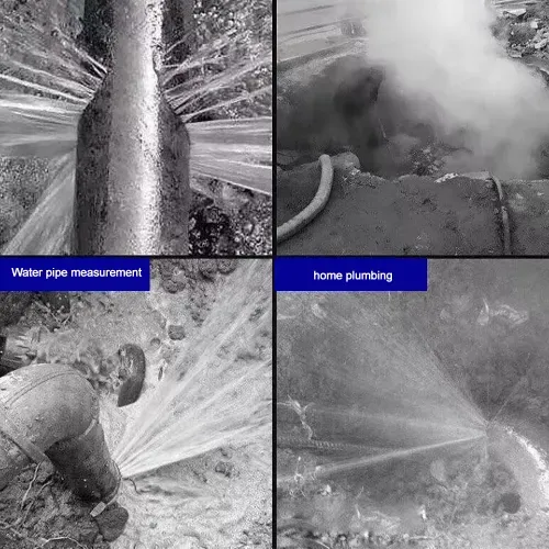 Pipe Leak Detector Anti-bugging Device