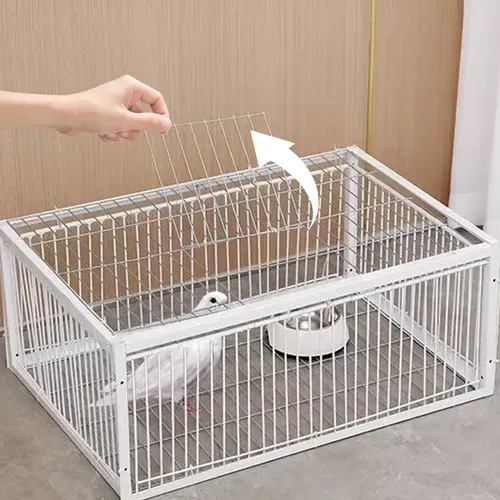 AutoTrap Bird Cage - Entry Only, No Exit, With Base🎄🔥⏰✨