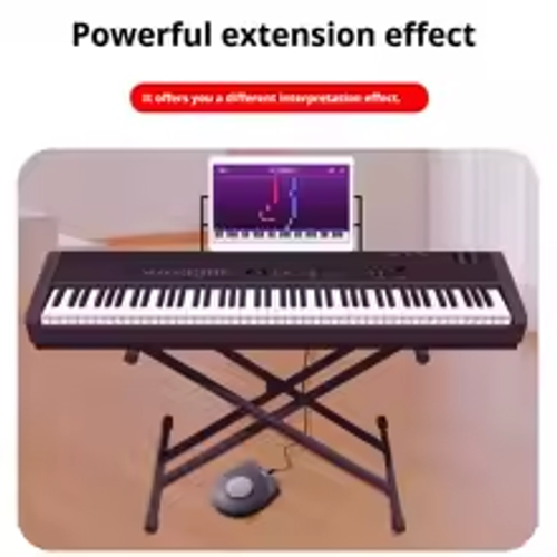 Compact Sustain Pedal for Electronic Keyboards,Electronic Drums,Synthesizers MIDI Keyboards Universal Digital  Electronic Drum