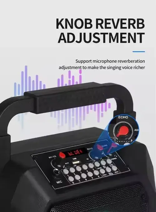 2 Microphones Wireless Karaoke Machine