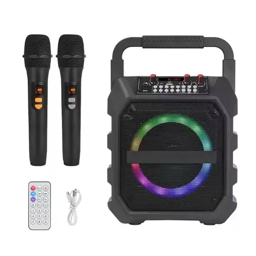 2 Microphones Wireless Karaoke Machine